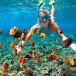 SCUBA DIVING IN GRANDE ISLAND GOA